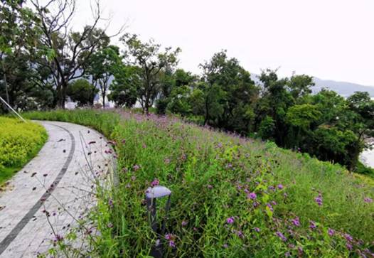 翡翠岛旅游攻略_翡翠岛美食_翡翠岛景区